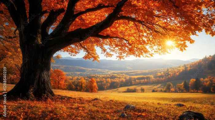 How Many Days Until Autumn